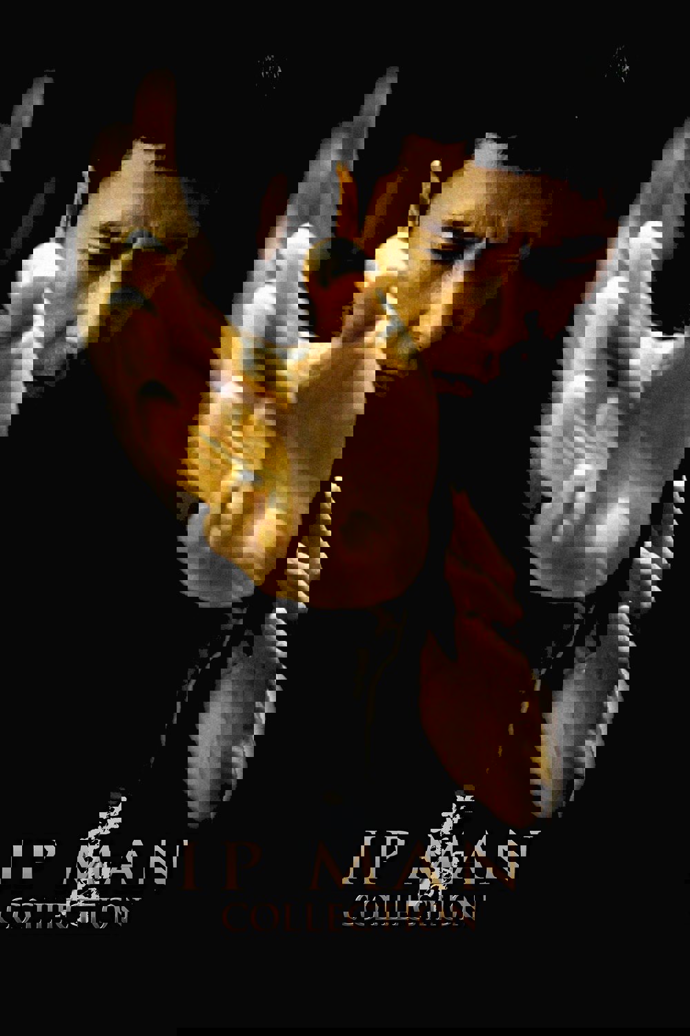 Ip Man Koleksiyonu